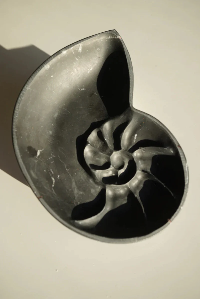 Foe & Dear Nautilus Keepsake Dish (Various Colours) - Image 12