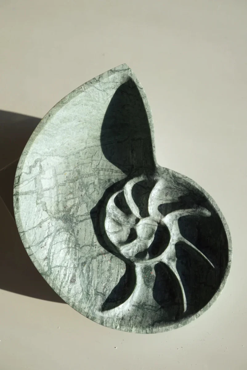 Foe & Dear Nautilus Keepsake Dish (Various Colours) - Image 13