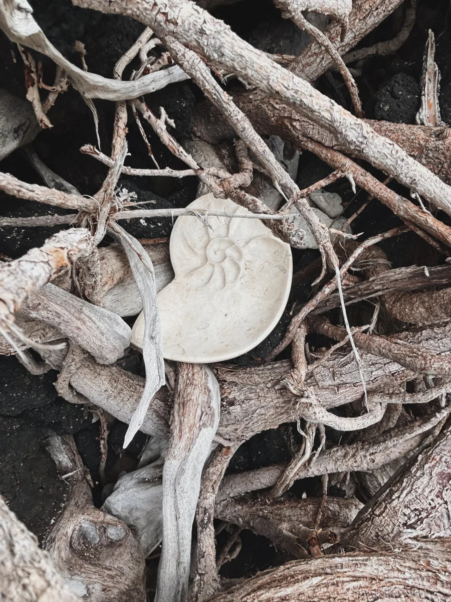 Foe & Dear Nautilus Keepsake Dish (Various Colours) - Image 7