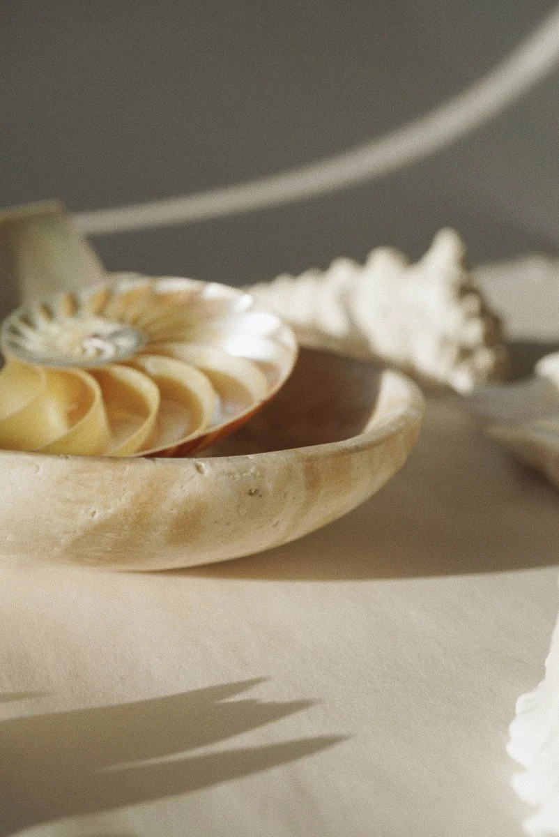 Foe & Dear Nautilus Keepsake Dish (Various Colours) - Image 9