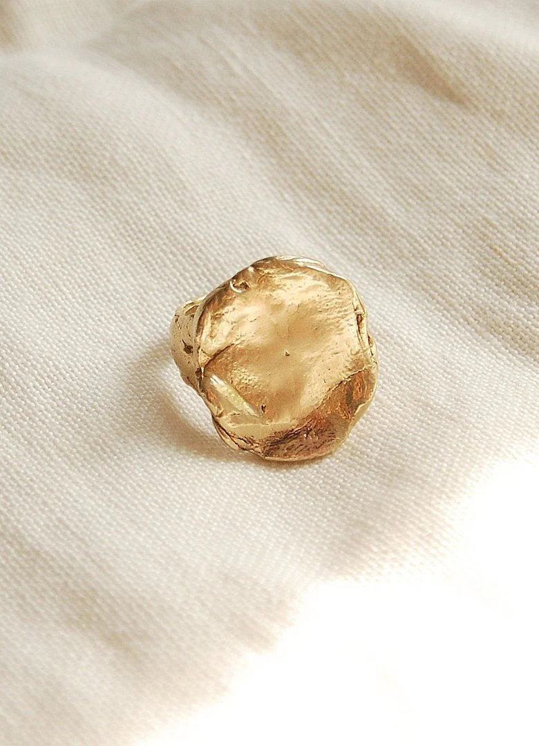 Hawkly Medallion Ring (Bronze or Silver) - Image 3